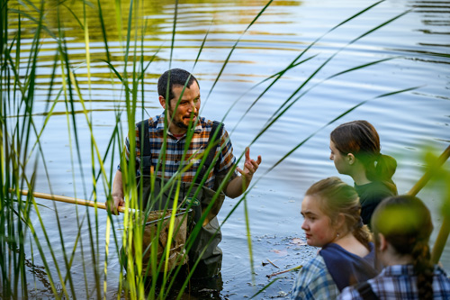 discovering-the-basics-of-wetlands