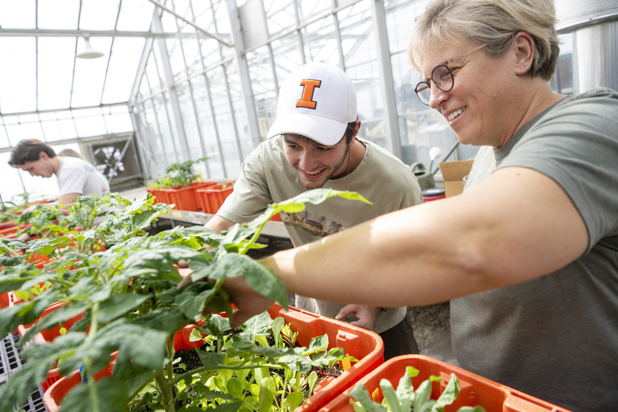 Crop sciences professional skills