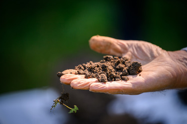 soil science conservation certificate feature