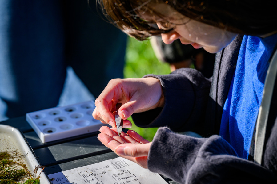 soil science conservation certificate skills