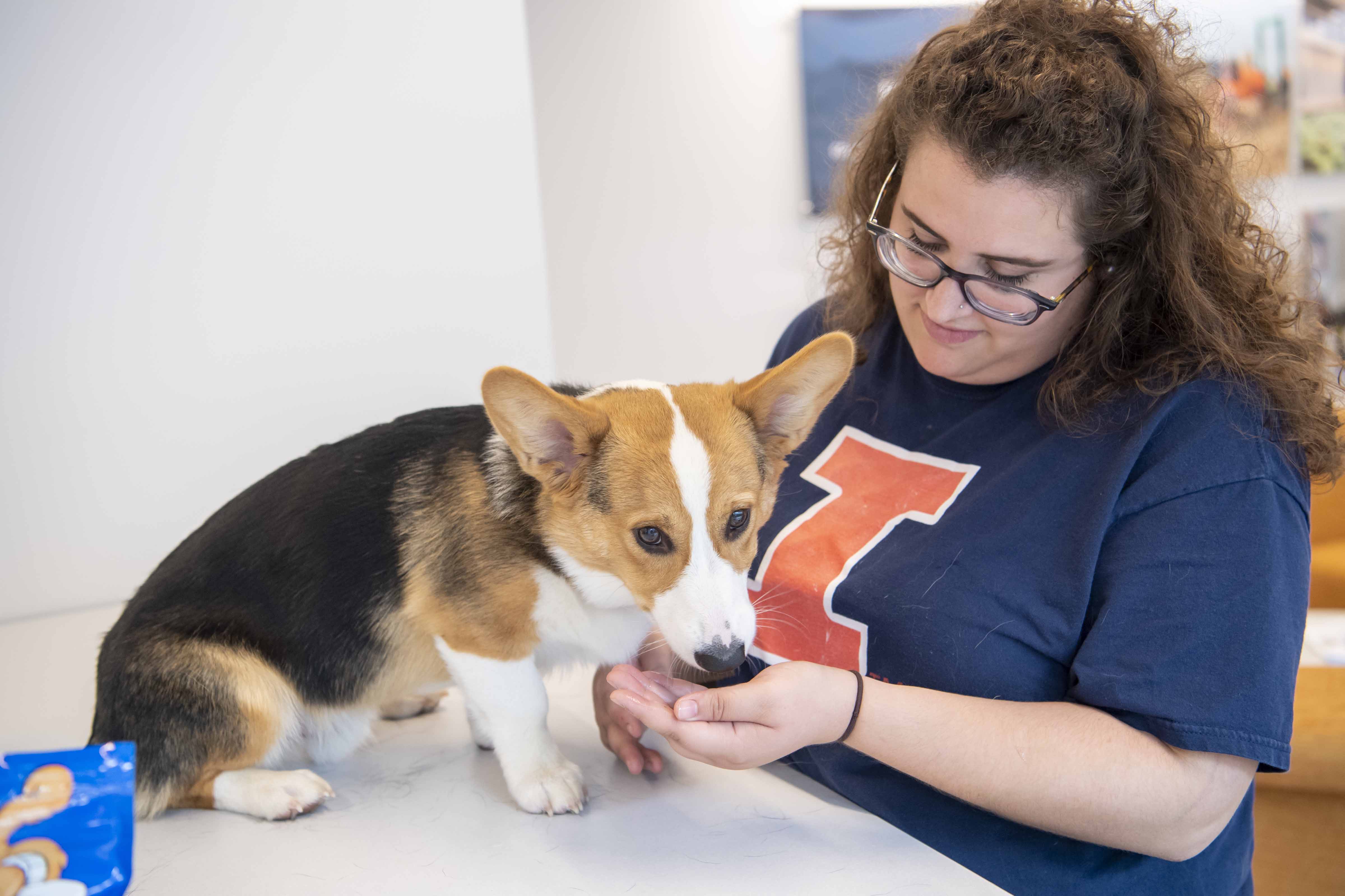 person feeding dog