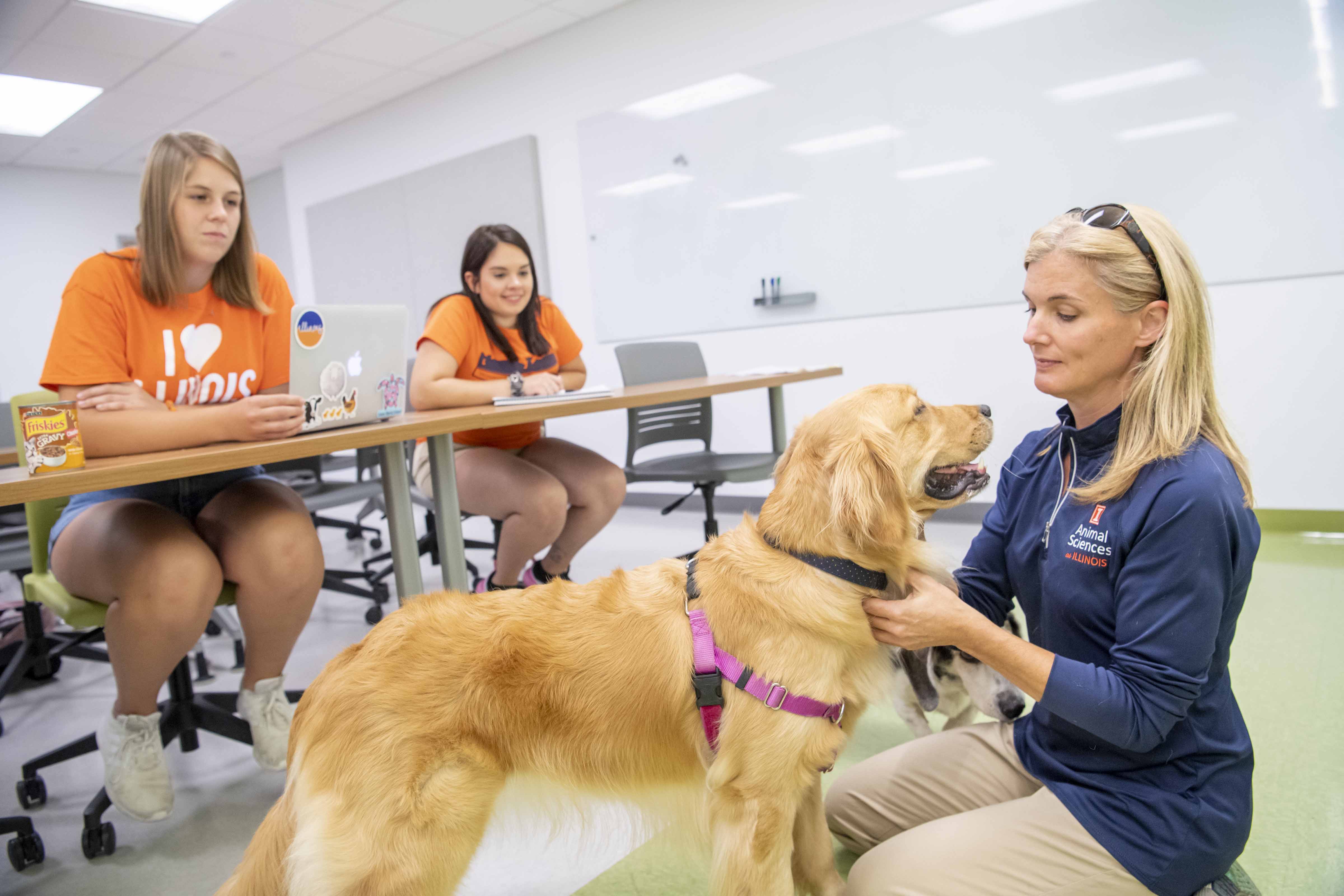 woman kneeling near dog with two students in background