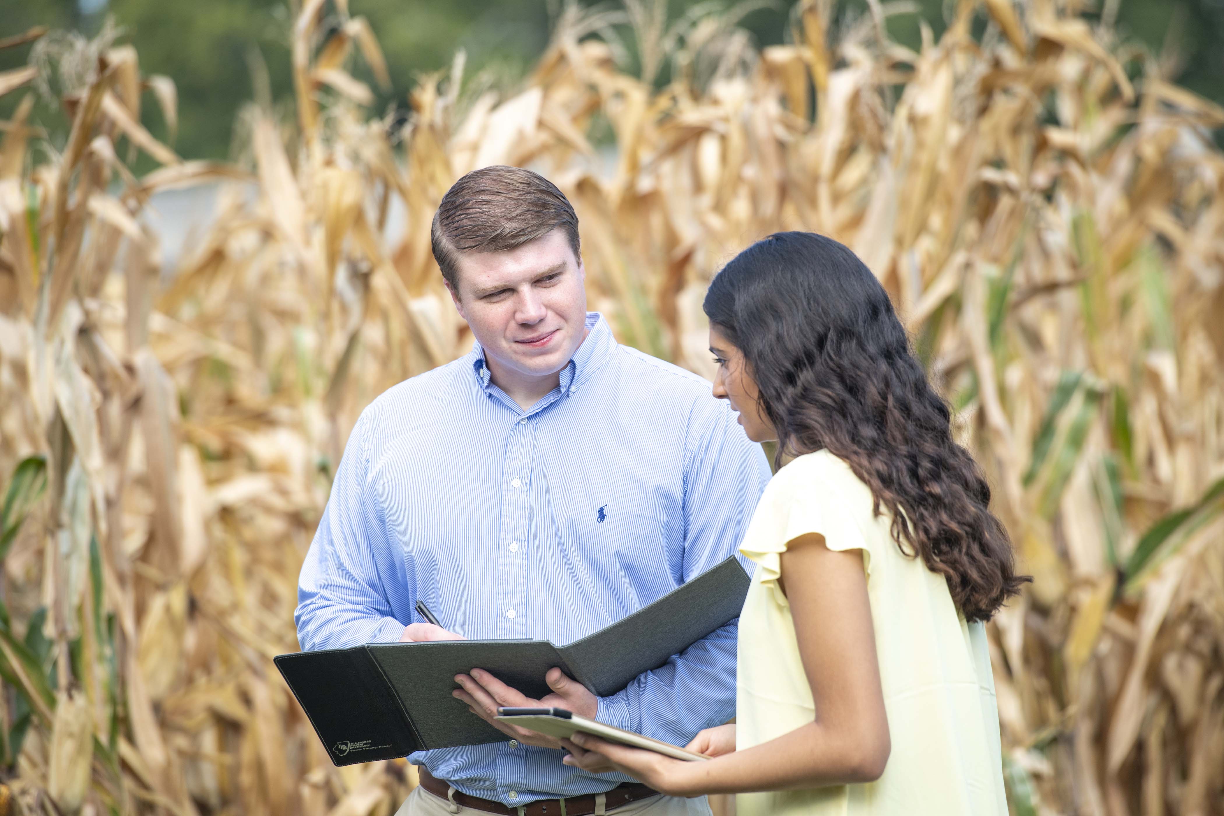 two people standing near cornfield