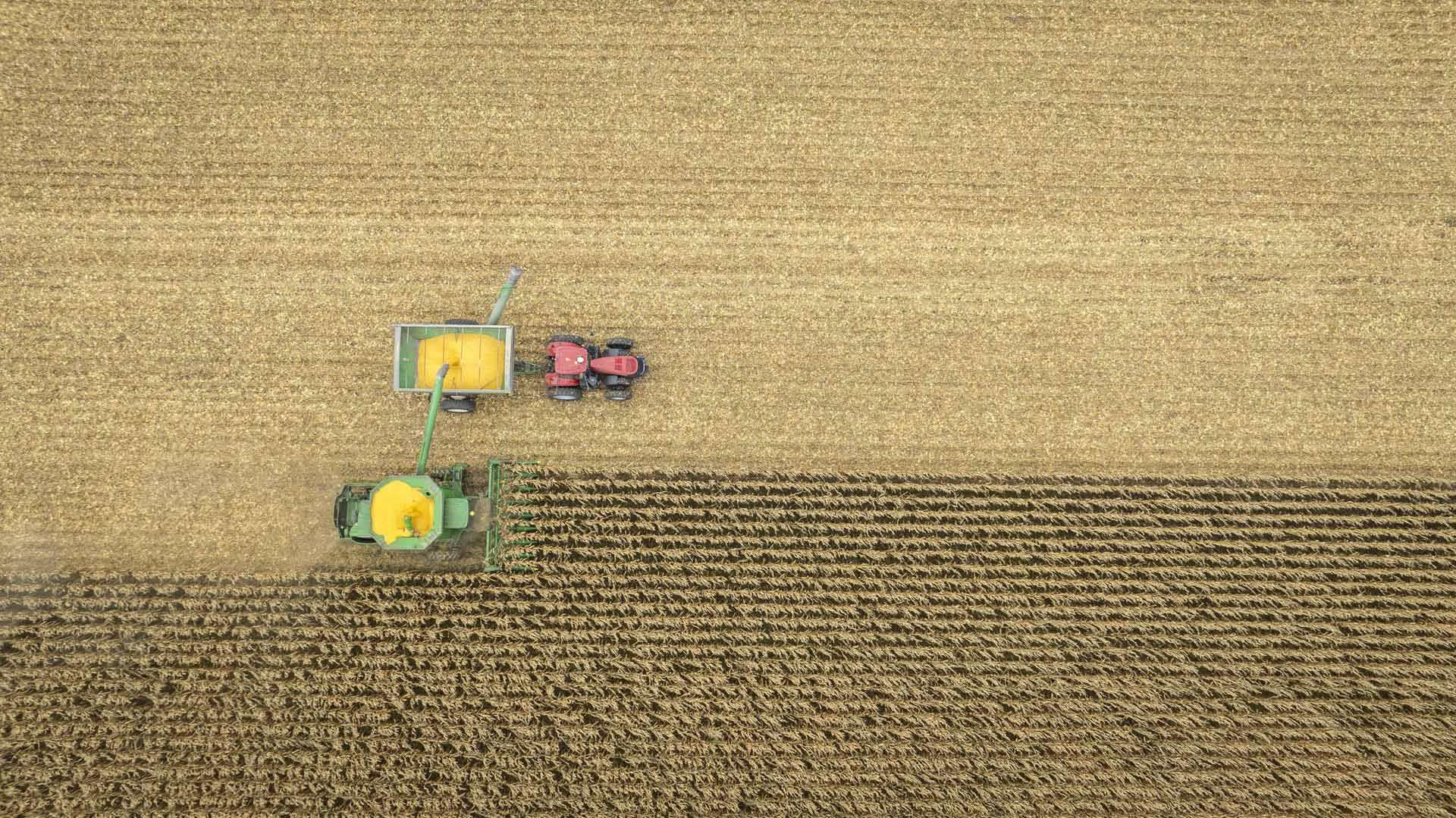 tractor and combine harvesting field