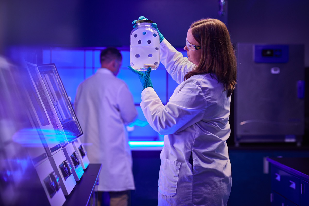 Woman in white lab coat working with a daisy Incubator analyzing data in a lab