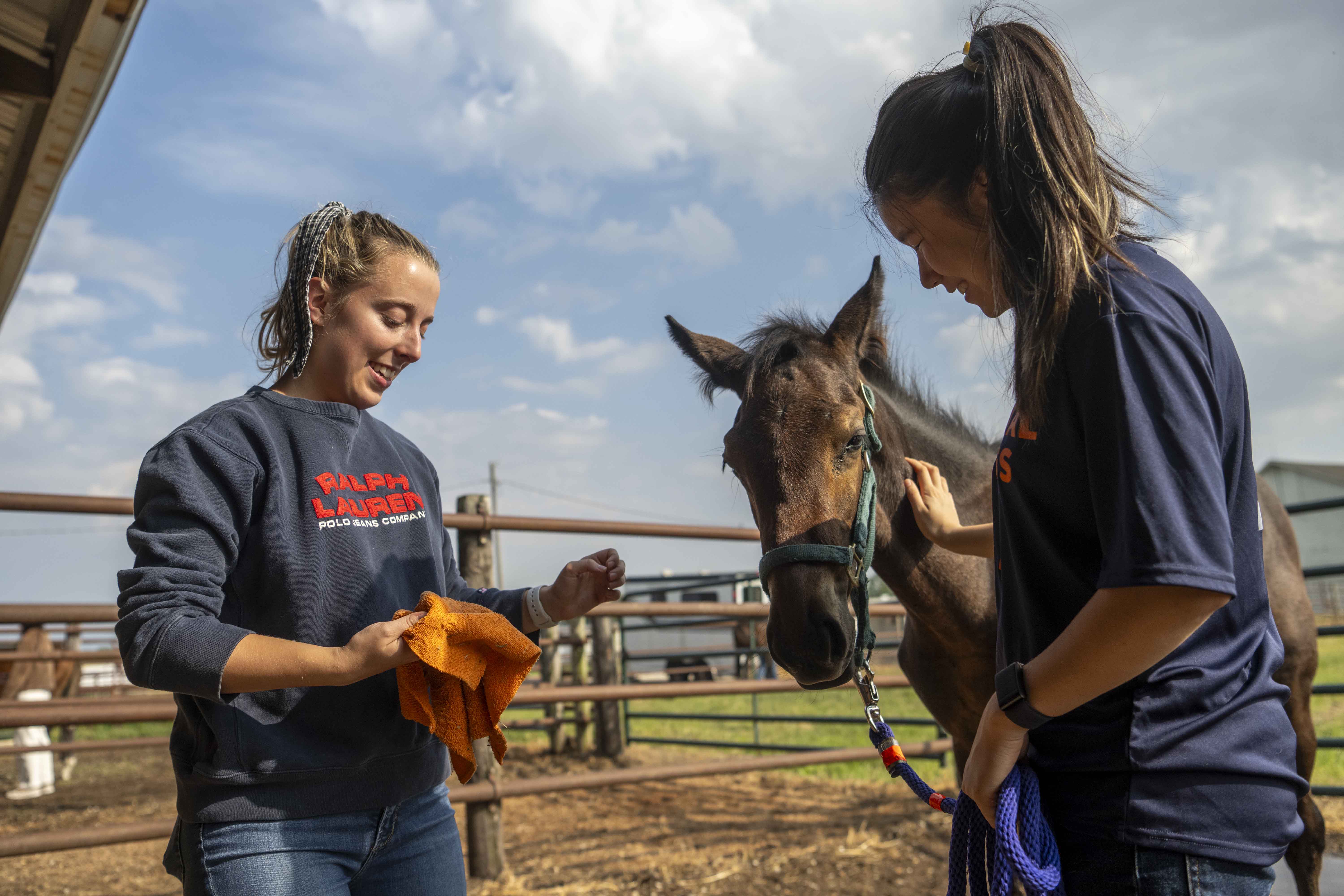Two people standing near a horse
