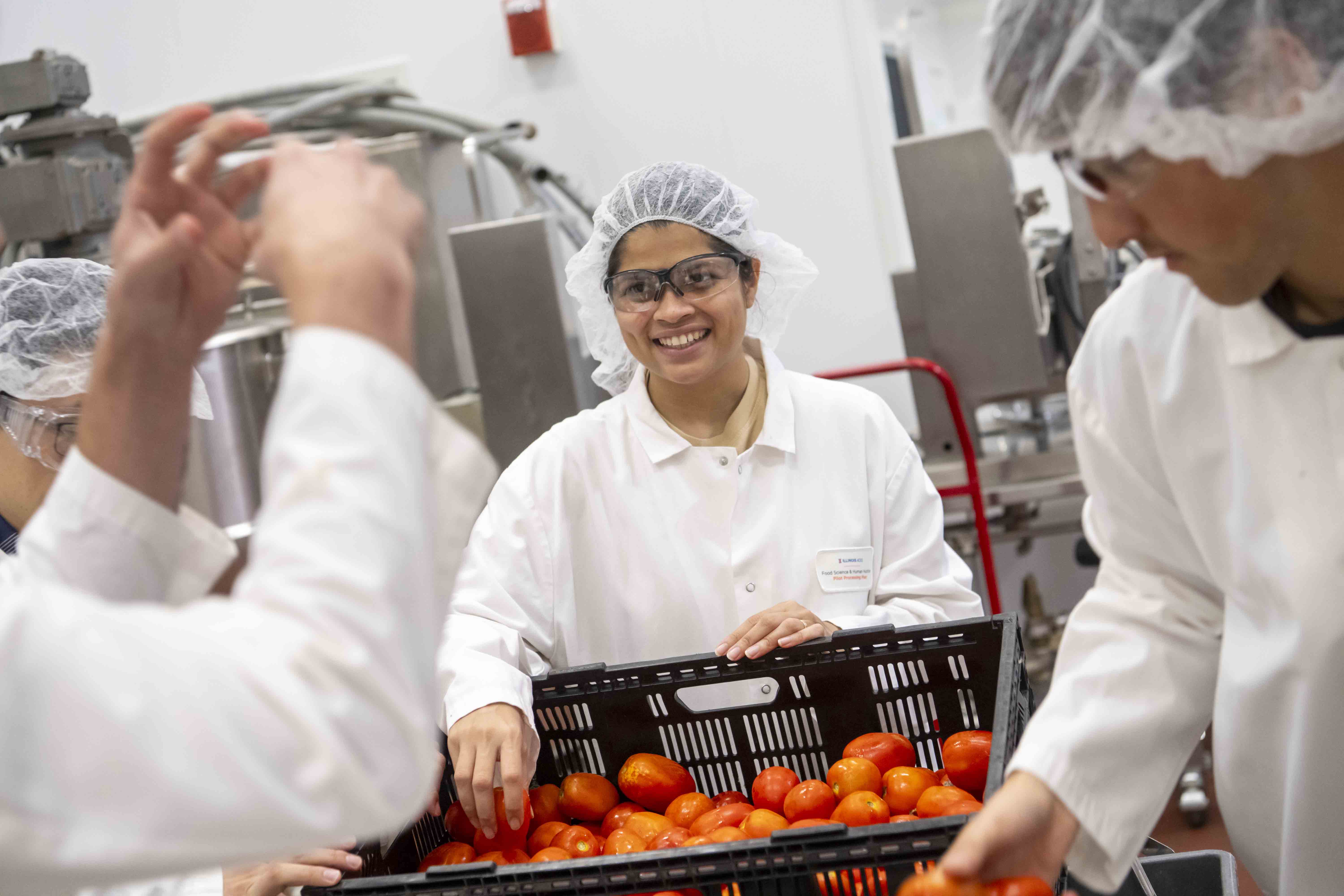 Person wearing hairnet standing near a crate of tomatoes