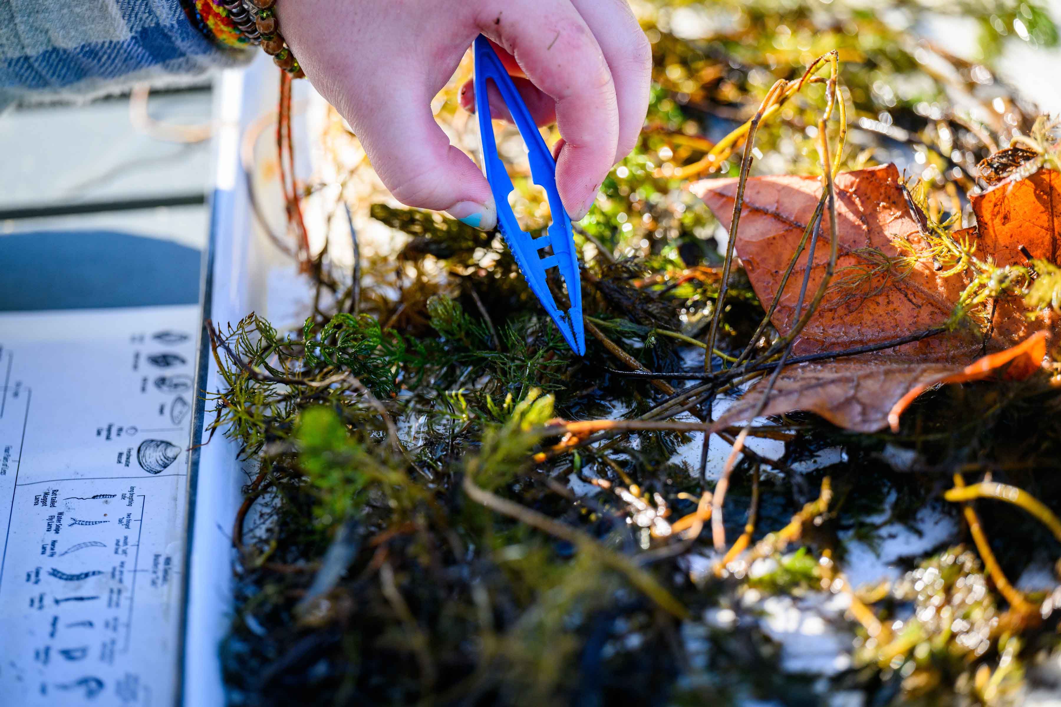 Hand holding equipment to take sample of water for testing