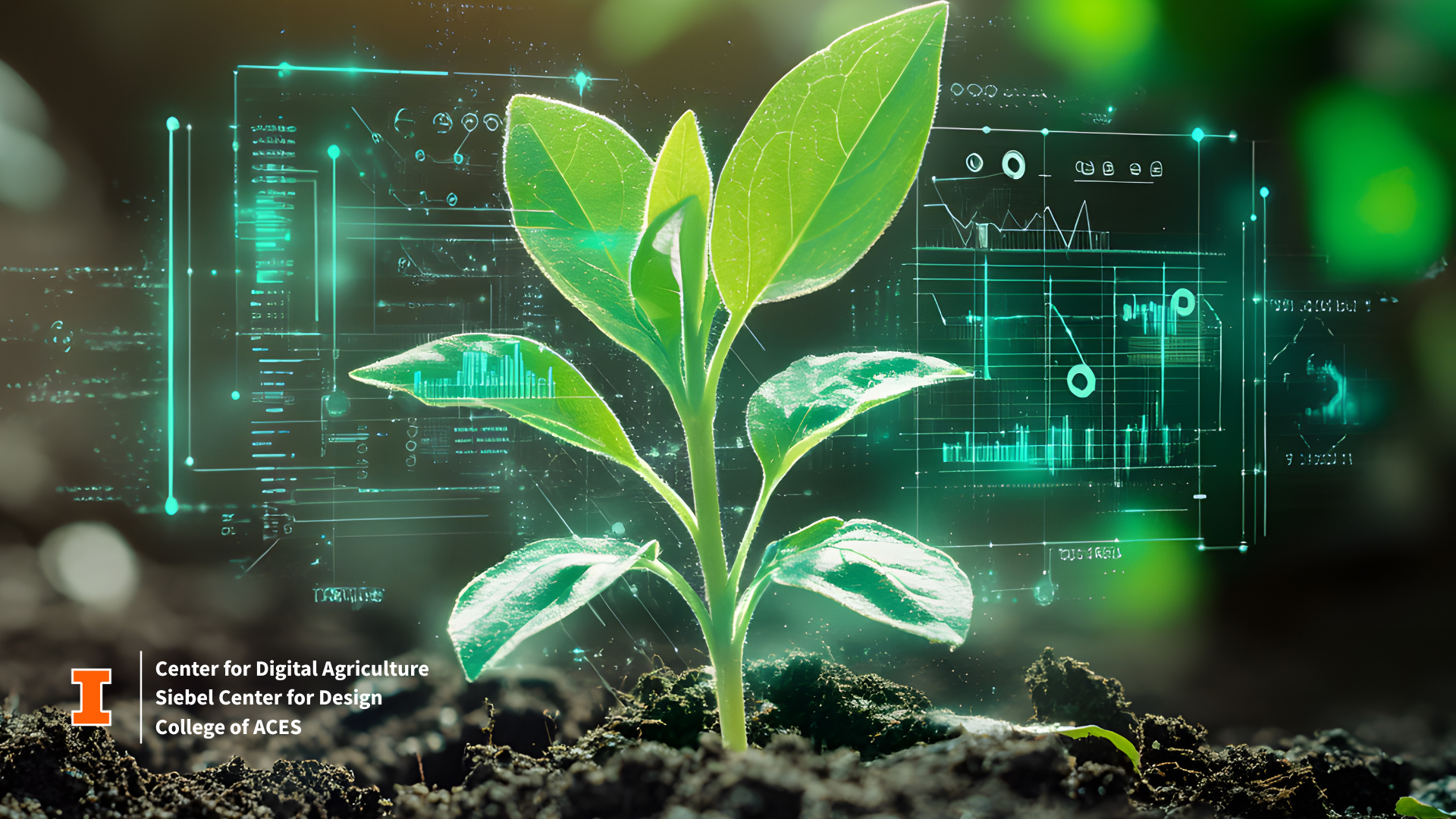 A plant in soil with digital overlay